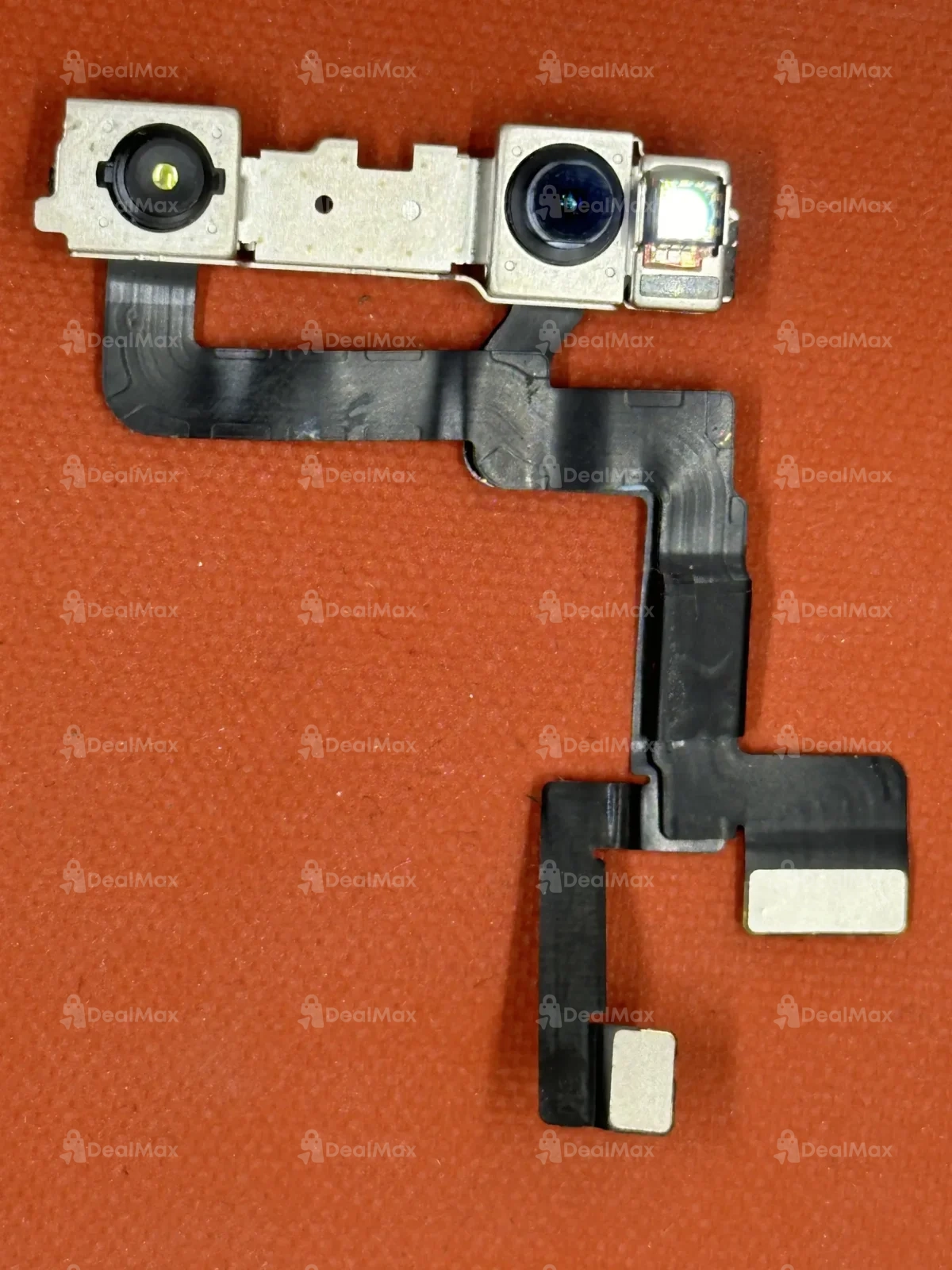 Caméra Selfie iPhone 11